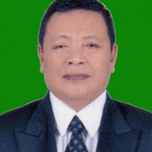 DEDI WAHIDI